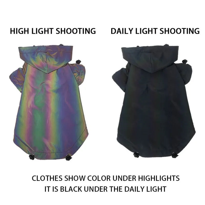 Holographic Reflective Windbreaker Jacket