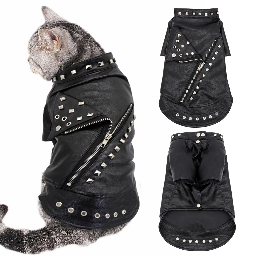 Studded Leather Jacket