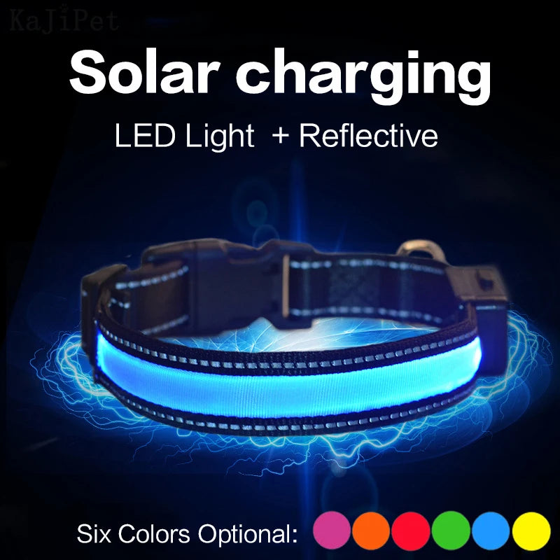 Solar Charging Led Collars-USB Rechargeable