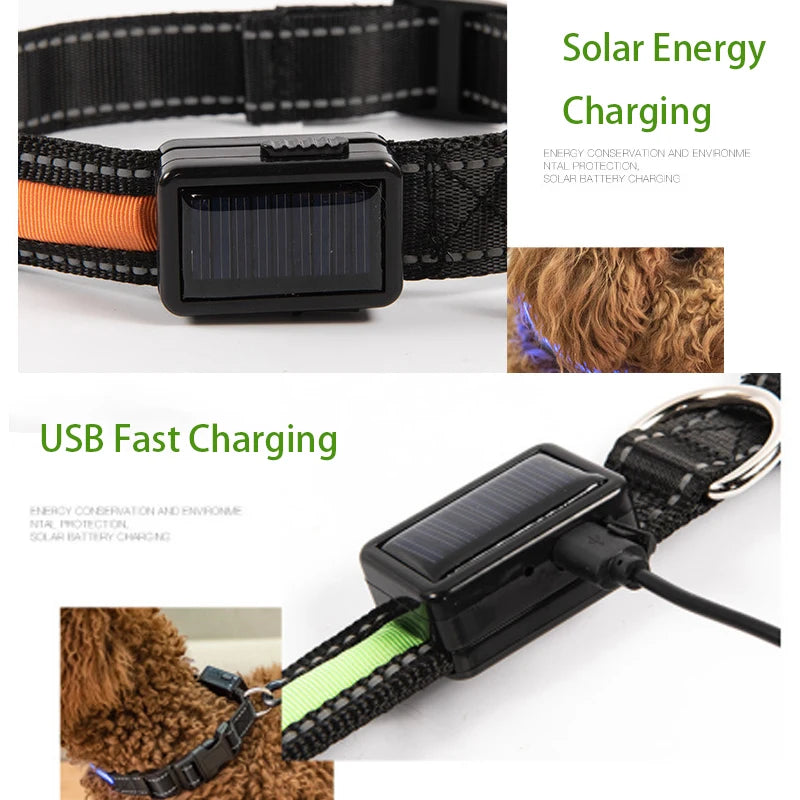 Solar Charging Led Collars-USB Rechargeable