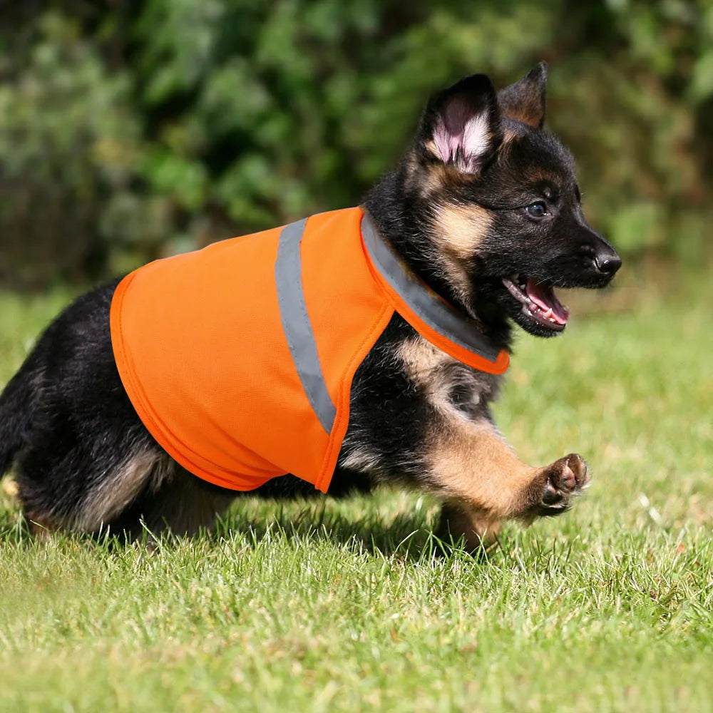 Reflective Dog Vests