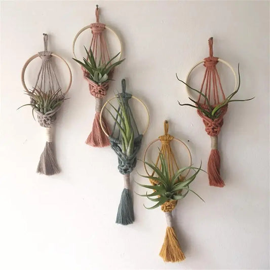 Various Color Macrame Bohemian Style Cotton Air Plant Hangers