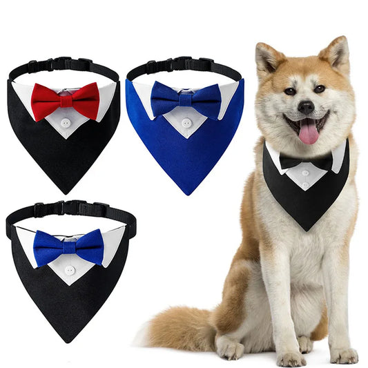 Formal Party Suit Scarf Bow Tie Collar