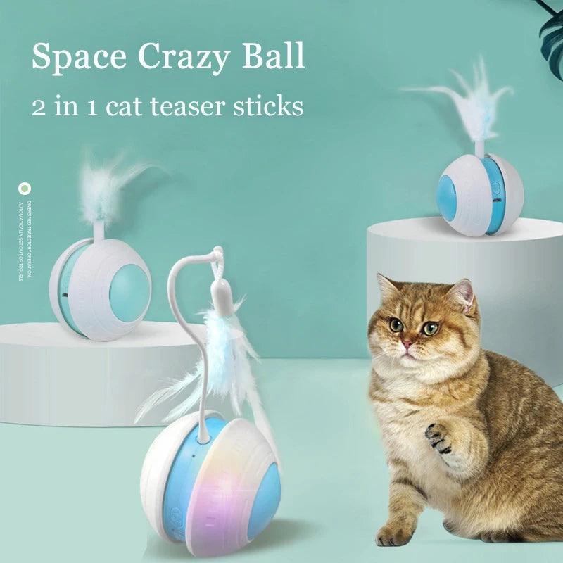 Crazy Cat Teaser Toy