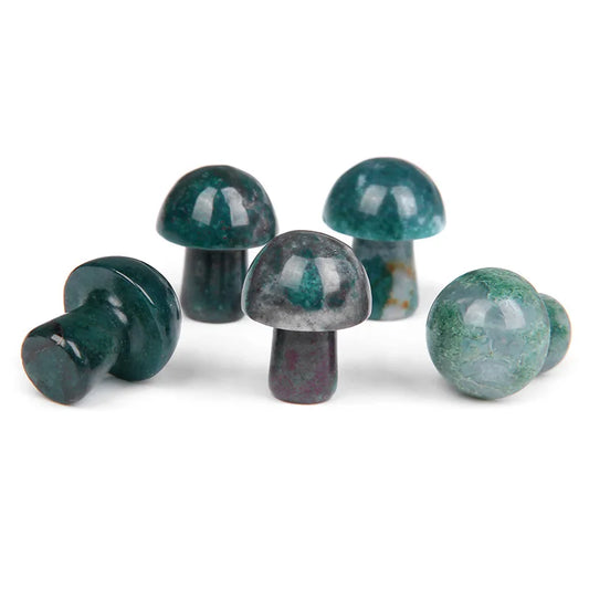 5Pcs Natural Agat Mushroom Stones