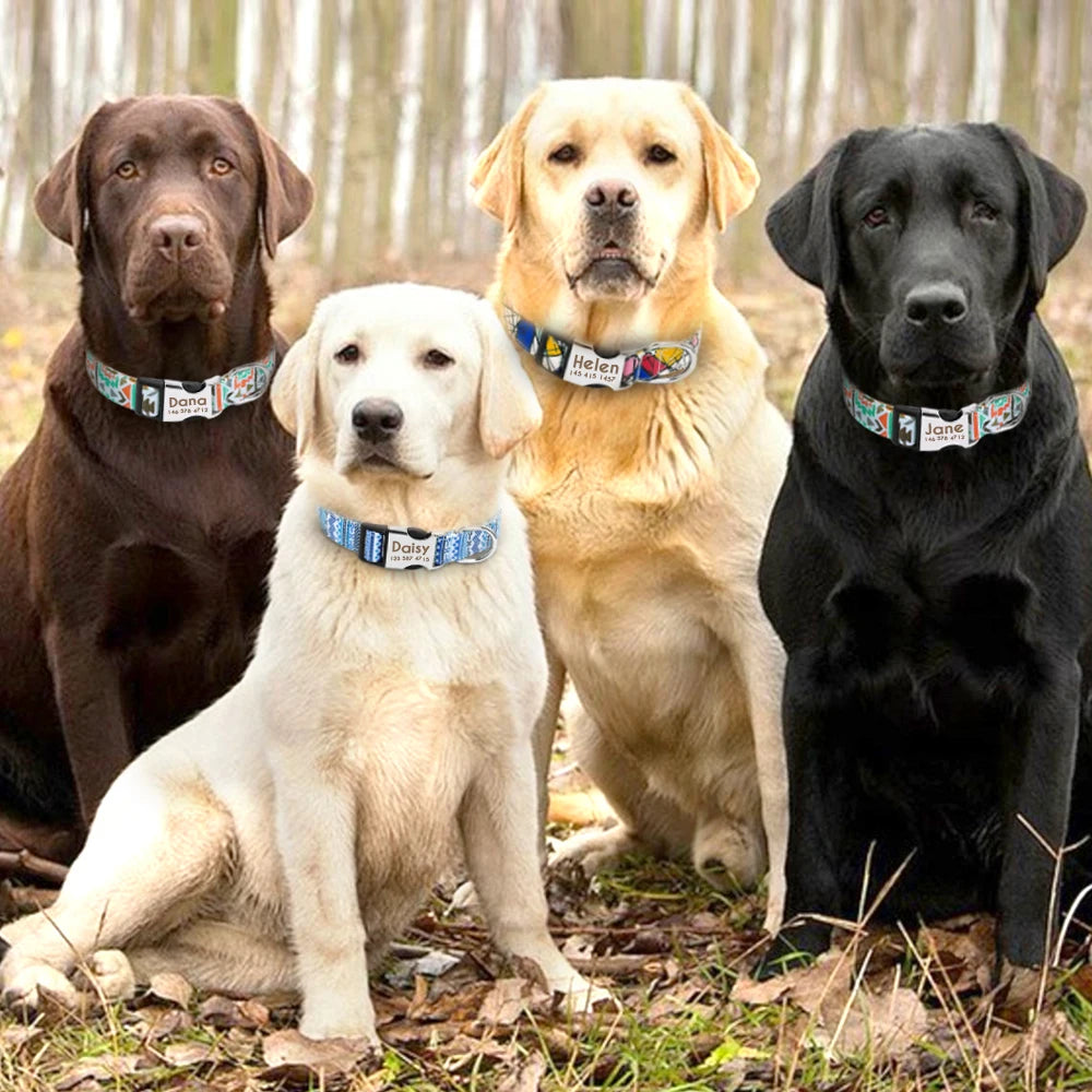 Personalized Nylon ID Collars With Engraved Name Buckle