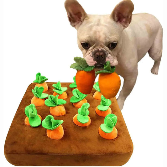 Carrot Pulling Interactive Training Pet Toy