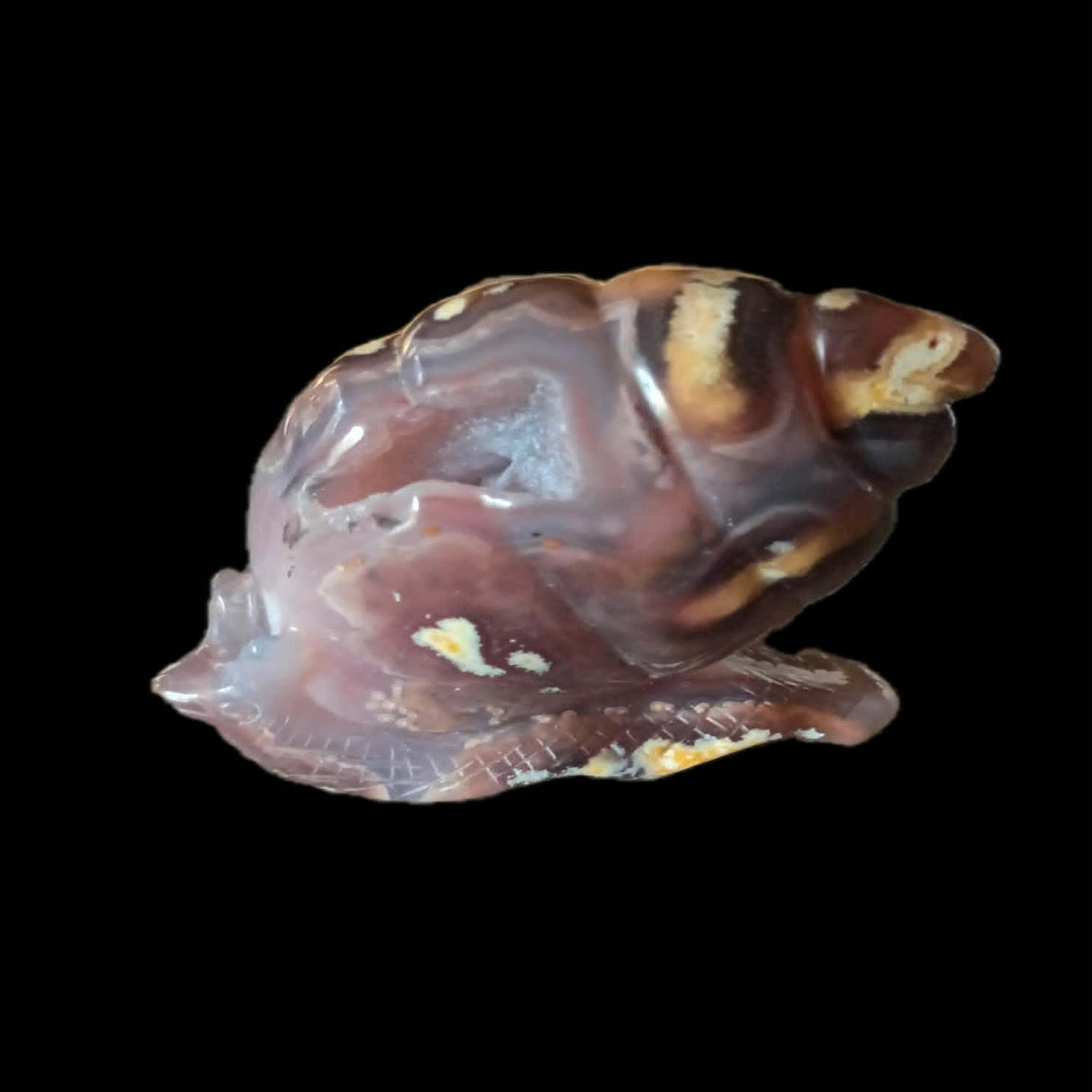 Crystal Cave Druzy: Crystal Cave Agate Snail Carving of Grounded Evolution