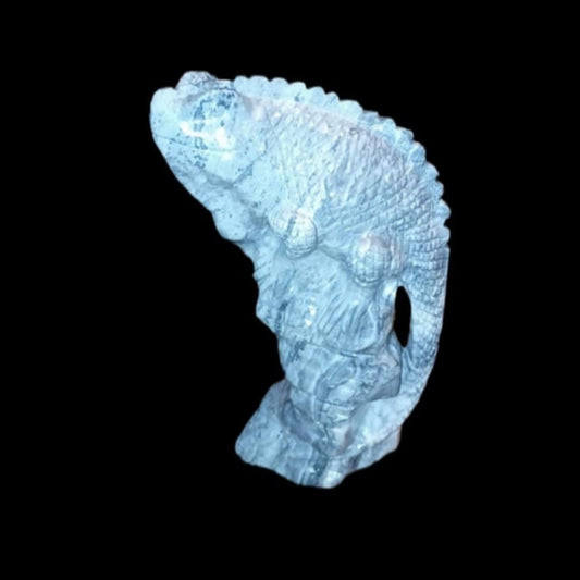 Master of Metamorphosis & Inner Mapping: Picasso Jasper Iguana Carving - CMP