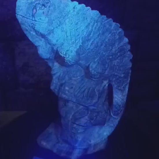 Master of Metamorphosis & Inner Mapping: Picasso Jasper Iguana Carving