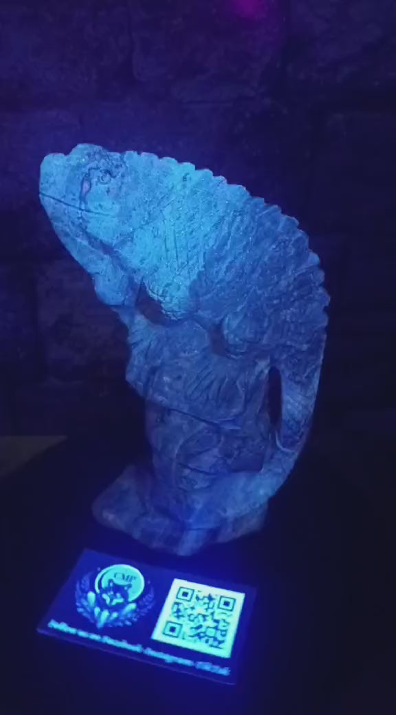 Master of Metamorphosis & Inner Mapping: Picasso Jasper Iguana Carving