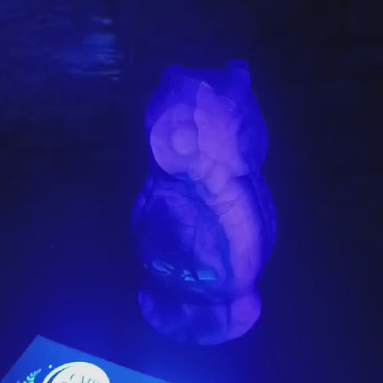 Prism Oracle: Rainbow Fluorite Owl Carving
