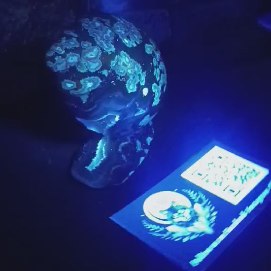 Crystal Cave Druzy: Crystal Cave Flower Agate Snail Carving of Grounded Evolution